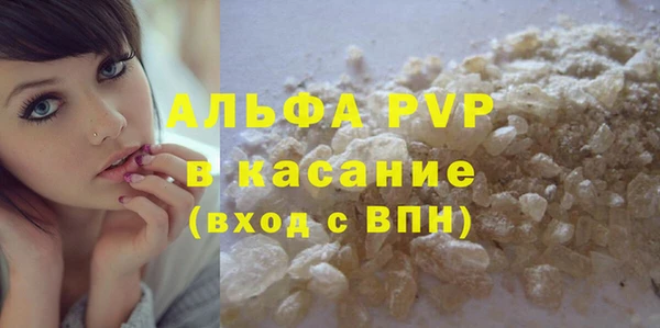 ПСИЛОЦИБИНОВЫЕ ГРИБЫ Сосновый Бор
