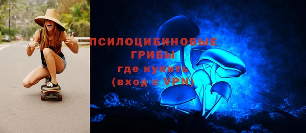 a pvp Бородино