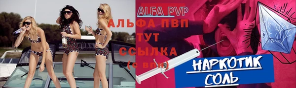 a pvp Бородино