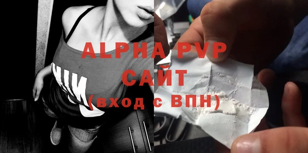 a pvp Бородино