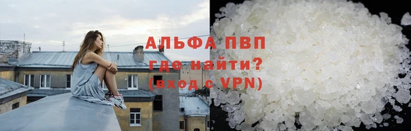a pvp Бородино