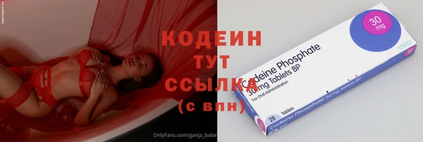 ПСИЛОЦИБИНОВЫЕ ГРИБЫ Сосновый Бор