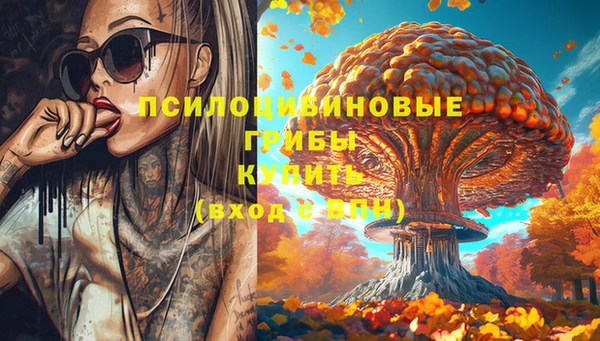 прущий лед Бронницы